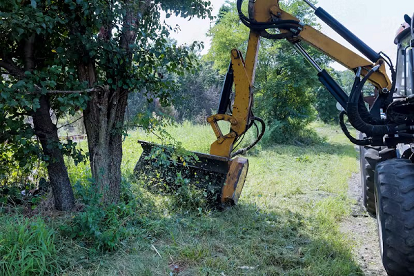 Effective Land Clearing